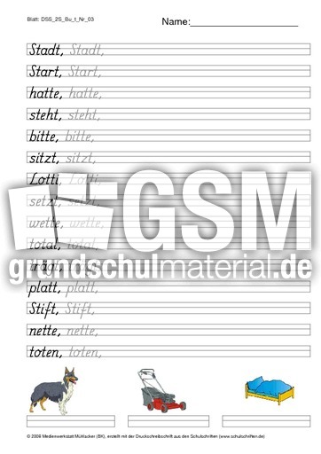 DSS_2S_Bu_t_Nr_03.pdf